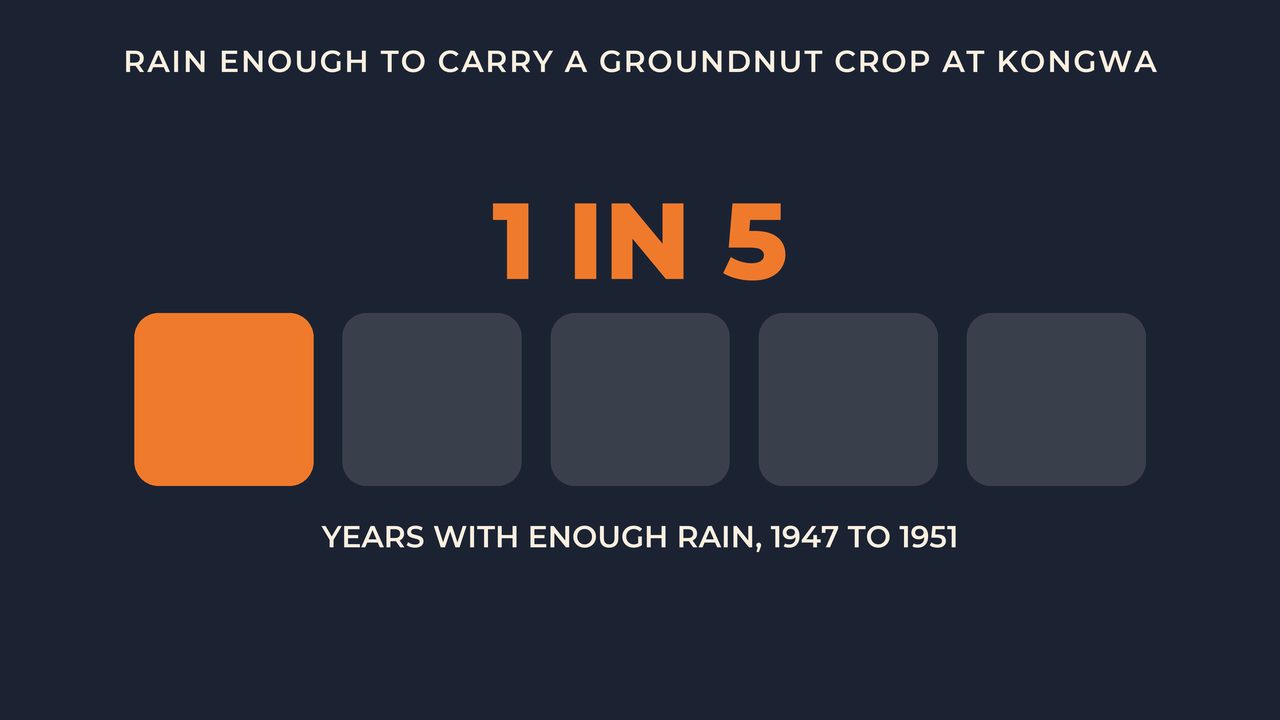 Rain enough to carry a groundnut crop at Kongwa